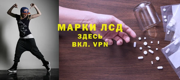прущие грибы Осинники