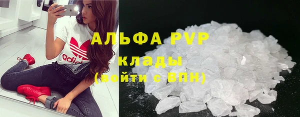 ПСИЛОЦИБИНОВЫЕ ГРИБЫ Галич