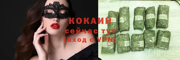 дурь Осташков