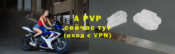 прущие грибы Осинники