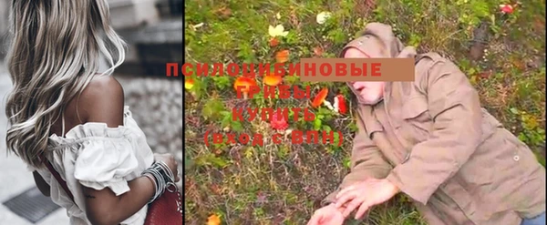 дурь Осташков