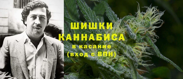 прущие грибы Осинники
