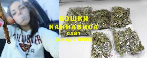 дурь Осташков