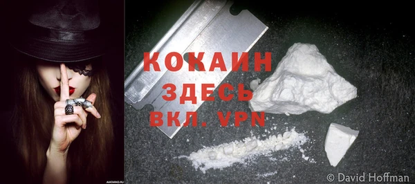 прущие грибы Осинники