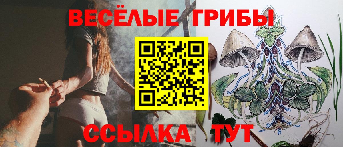продажа наркотиков  Вход с VPN  Минусинск  Галлюциногенные грибы мицелий 