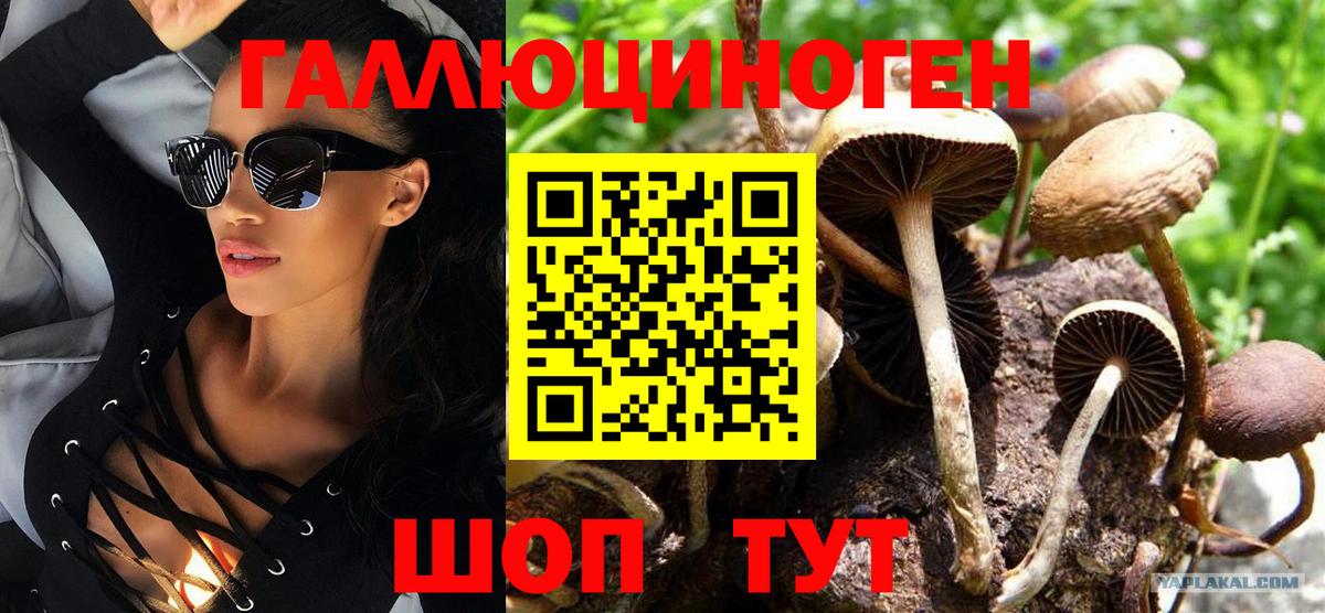 Галлюциногенные грибы GOLDEN TEACHER  Галлюциногенные грибы Psilocybine cubensis  Минусинск 