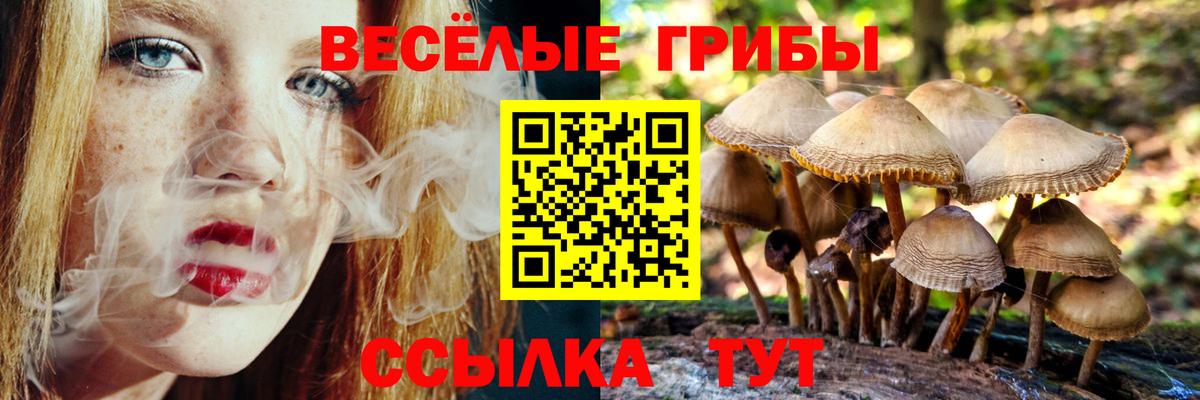 Псилоцибиновые грибы мицелий Минусинск