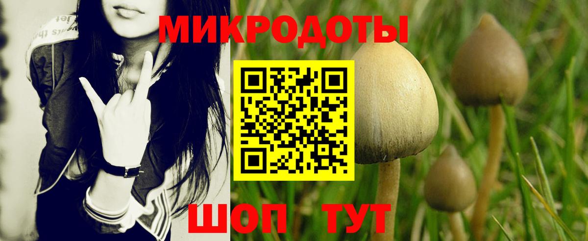 ГАШИШ Минусинск